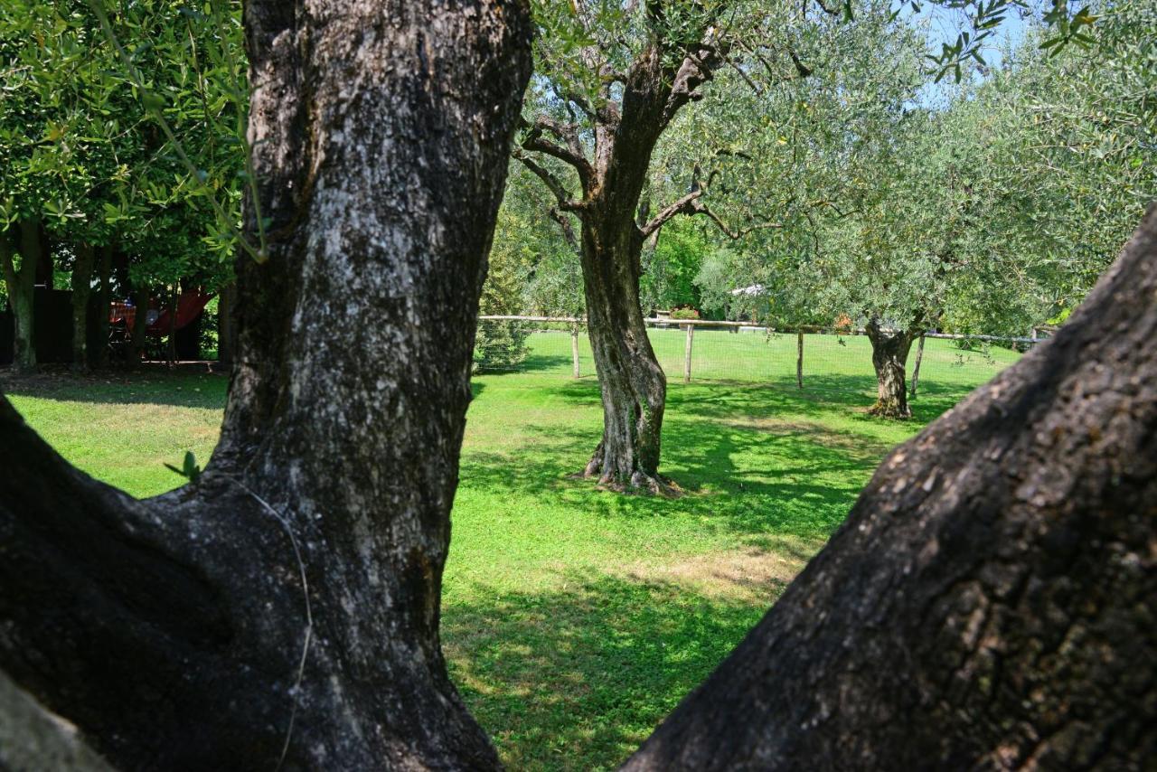 Agriturismo Corte Stefani Capannori Buitenkant foto